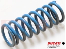 DUCATI 2008 Multistrada 1100 S Clutch spring