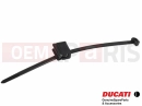 DUCATI 2021 Multistrada 950 S Collier