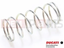 DUCATI 2000 Monster 600 Spring