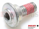 DUCATI 2025 Multistrada V4 RS Vis