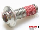 DUCATI 2021 Monster 821 Screw