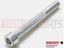 DUCATI 2014 HYPERSTRADA Screw