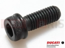 DUCATI 2008 Monster 696 2 pc - Vis