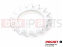 DUCATI 2014 Diavel 2 PC - Unterlegscheibe (SPRING)