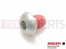 Screw (M8x10)