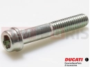 DUCATI 2010 Hypermotard 1100 EVO 2 pc - Vis