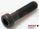 DUCATI 2012 Diavel Screw