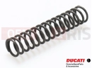 DUCATI 2021 Multistrada 950 Rugó
