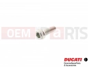 DUCATI 2018 Multistrada 950 2 buc. - Șurub