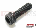 DUCATI 2021 XDiavel Dark 2 pc - Vis