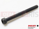 DUCATI 2017 Multistrada 950 2 kosov - Vijak
