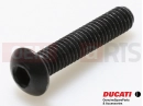 DUCATI 2013 Diavel WHITE STRIPE 2 pc - Vis (M4x20)