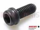 DUCATI 2021 XDiavel Screw