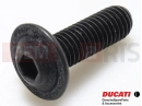 DUCATI 2012 Diavel Chromo Csavar (M8x25)