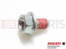 DUCATI 2008 Multistrada 1100 S 2 PC - Schraube