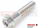 DUCATI 2023 Panigale V2 5 pc - Screw