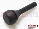 DUCATI 2024 Panigale V2 5 buc. - PAD