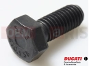 DUCATI 2002 Supersport 900 SS 5 pc - Vis