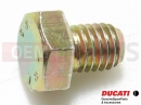 DUCATI 1993 Supersport 600 SS 5 pc - Vis