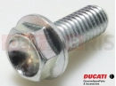 DUCATI 2010 Multistrada 1200 5 PC - Schraube