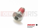 Screw (M5x10)