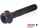 DUCATI 2021 XDiavel 2 pc - Vis