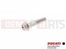 DUCATI 2008 Multistrada 1100 Csavar (M6x30)