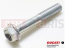 DUCATI 2022 Panigale V2 5 pc - Screw