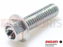 DUCATI 2024 Panigale V2 5 pc - Screw