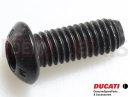 DUCATI 2025 Multistrada V4 RS 5 pc - Šroub