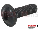 DUCATI 2017 Multistrada 950 5 pc - Screw