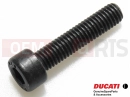 DUCATI 2017 Scrambler Full Throttle Screw