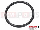 DUCATI 2019 Scrambler Icon 5 buc. - O-Ring