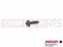 DUCATI 2011 Diavel 5 pc - Vis (3,5x10)