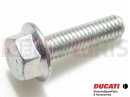 DUCATI 2022 Multistrada V2 5 db - Csavar (M6x22)