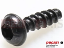 DUCATI 2023 Multistrada V4 S 5 pc - Screw