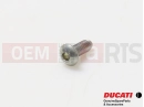DUCATI 2014 Diavel 5 pc - Vis (M4x10)