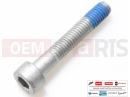 gilera 2009 Fuoco 500 10 pc - Screw