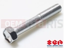 SUZUKI PE175 D (1983) Screw