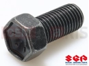 SUZUKI TS50ERKD D (1983) Bolt