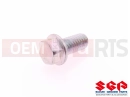 SUZUKI DL1000A L4 (2014) V-Strom (E21) Vis