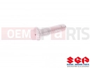 SUZUKI DR-Z400E K7 (2007) (E03,E28,E33) Screw