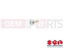 SUZUKI DS80 X (1999) (E24) Csavar