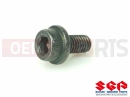 SUZUKI DL1000 K7 (2007) V-Strom (E03,E28,E33) Screw