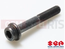 SUZUKI DL650A L2 (2012) V-Strom (E21) Screw