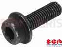SUZUKI DF125E Y (2000) Screw
