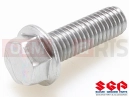 SUZUKI RM85 L2 (2012) Screw