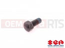 SUZUKI RM250 T (1996) (E03,E28,E33) Vis Gauche