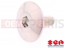 SUZUKI DL650A L2 (2012) V-Strom (E21) Screw