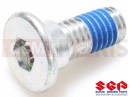 SUZUKI DR200SE L2 (2012) (E06) Vis de fixation du disque de frein